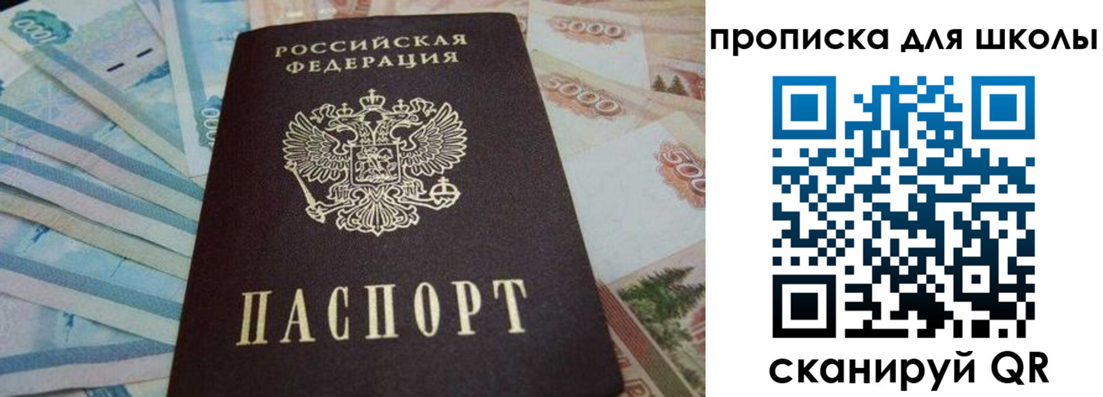 прописка гарантия в Озёрске